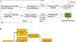 A Comprehensive Approach for Analysing Optimized Profile-Shifted Gears with a Focus on Tribological Parameters