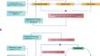 Investigation of the causal relationship between breast cancer and thyroid cancer: a set of two-sample bidirectional Mendelian randomization study.