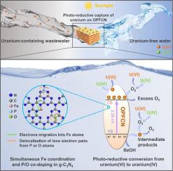 Charge reconstruction from simultaneous Fe coordination and P/O co-doping in g-C3N4 for efficient photo-reductive recovery of uranium(VI)