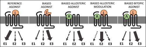 Ligand bias at the muscarinic acetylcholine receptor family: Opportunities and challenges