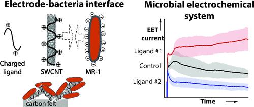 Single-walled Carbon Nanotubes Wrapped with Charged Polysaccharides Enhance Extracellular Electron Transfer.