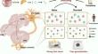 Neurotransmitter Switching: A Novel Mechanism for Fear Generalization.