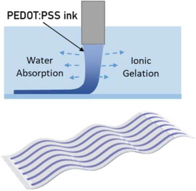 Wet‐Printed Stretchable and Strain‐Insensitive Conducting Polymer Electrodes: Facilitating In Vivo Gastric Slow Wave Mapping