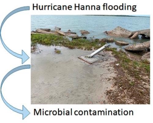 Microbial Contamination of Surface Water and Groundwater in Flood-Impacted Rural Communities in South Texas Following Hurricane Hanna