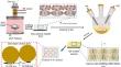 Ar-O2 Plasma-Induced Grafting of Quaternary Ammonium on Polyvinyl Chloride Surface to Improve its Antimicrobial Properties