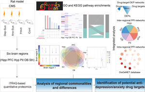 The Identification of Potential Anti-Depression/Anxiety Drug Targets by Stress-Induced Rat Brain Regional Proteome and Network Analyses.