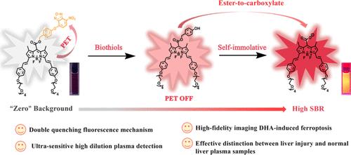 Molecular Engineering of a Doubly Quenched Fluorescent Probe Enables Ultrasensitive Detection of Biothiols in Highly Diluted Plasma and High-Fidelity Imaging of Dihydroartemisinin-Induced Ferroptosis.