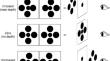 Distinct Contributions of Alpha and Beta Oscillations to Context-Dependent Visual Size Perception.