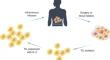 Current status and perspectives of clinical trials for tumor-infiltrating lymphocyte therapy.