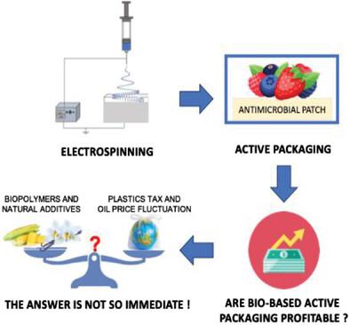 Sustainable Development of Biodegradable Antimicrobial Electrospun Membranes for Active Food Packaging and Economic Analysis