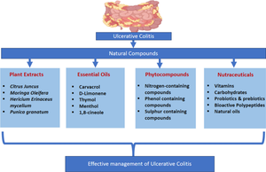 Natural approaches for the management of ulcerative colitis: evidence of preclinical and clinical investigations