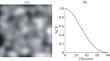 Synthesis and Optimization of a Stochastic Algorithm for Image Registration Using Shannon’s Maximum Mutual Information Criterion