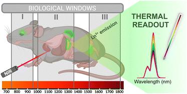 Lanthanide-based nanothermometers for bioapplications: excitation and temperature sensing in optical transparency windows