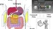 Two-dimensional ferrite core-based transmitting coil for wireless power transfer in novel capsule robots