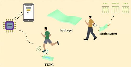 A Flexible, Conductive Hydrogel for Strain Sensor and Triboelectric Nanogenerator toward Human Motion Monitoring