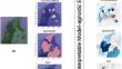 Explaining deep learning-based leaf disease identification