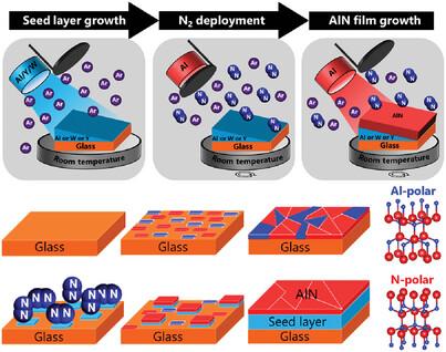 Beyond Structural Stabilization of Highly-Textured AlN Thin Films: The Role of Chemical Effects