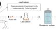 Production of betalains in plant cell and organ cultures: a review