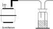 A new method for the measurement of the activity of high-concentration 226Ra in solution based on 222Rn production rate