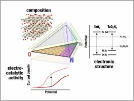 Electrocatalytic activity, phase kinetics, spectroscopic advancements, and photocorrosion behaviour in tantalum nitride phases