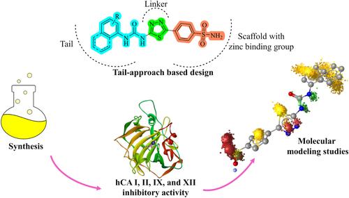 Tail-approach based design, synthesis, and molecular modeling of benzenesulfonamides carrying thiadiazole and urea moieties as novel carbonic anhydrase inhibitors.