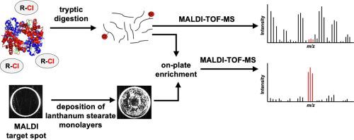 MALDI target functionalization with deposited thin films of lanthanum stearate – An efficient tool for in situ enrichment of human globin adducts of chlorinated organic compounds