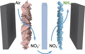 Electrocatalytic coupling of anodic nitrogen oxidation and cathodic nitrate reduction for ammonia synthesis from air and water