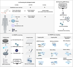 Let's make it personal: CRISPR tools in manipulating cell death pathways for cancer treatment.