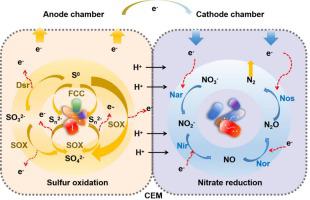 Sulfur-driven microbial fuel cells denitrification system for targeted treatment of nitrate-containing groundwater: Performance and mechanism