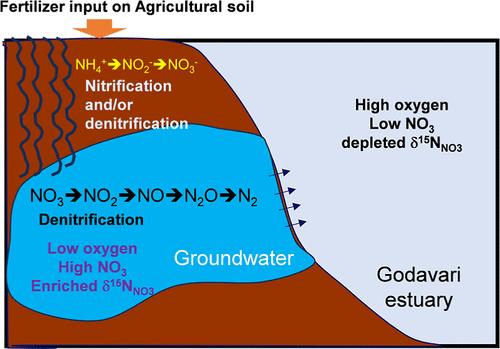 Isotopic Evidence of Denitrified Nitrate in Groundwater beneath Intensive Agriculture and Exchange with Estuary (Godavari, India)