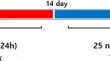 Acquired Tumor Necrosis Factor-Related Apoptosis-Inducing Ligand (TRAIL) Resistance of Human Colorectal Cancer Cells Is Linked to Histone Acetylation and Is Synergistically Ameliorated by Combination with HDAC Inhibitors