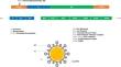 A therapeutic approach for the hepatitis C virus: in silico design of an antisense oligonucleotide-based candidate capsid inhibitor.