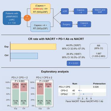 Effect of neoadjuvant chemoradiotherapy with or without PD-1 antibody sintilimab in pMMR locally advanced rectal cancer: A randomized clinical trial