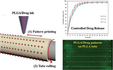 Electrohydrodynamic Printing of Biodegradable PLGA Micro‐Patterns on 3D Polymer Structures