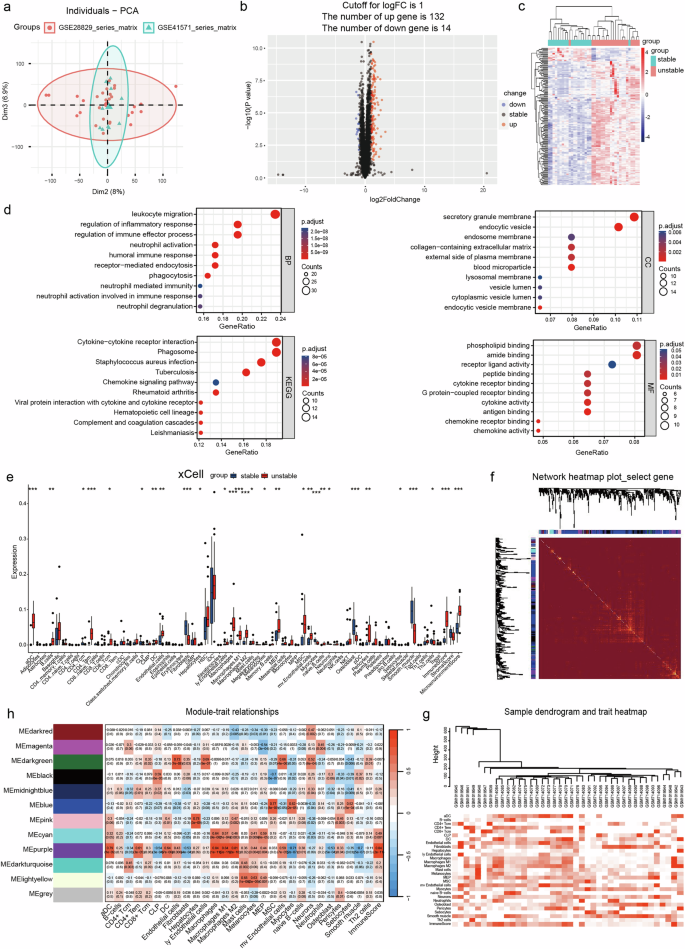 Neutrophil extracellular traps mediate the crosstalk between plaque microenvironment and unstable carotid plaque formation