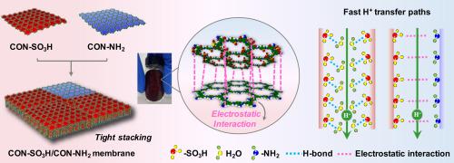 Enhanced interlayer interaction in sulfonated CONs membrane by amino-rich CONs enabling ultrafast proton transport