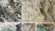 Comparative analysis of cyanobacterial communities in gypsum outcrops: insights from sites in Israel and Poland.