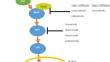 Future perspective of targeted treatments in pediatric low-grade glioma (pLGG): the evolution of standard-of-care and challenges of a new era.