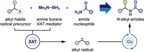 A Radical Strategy for the Alkylation of Amides with Alkyl Halides by Merging Boryl Radical-Mediated Halogen-Atom Transfer and Copper Catalysis.