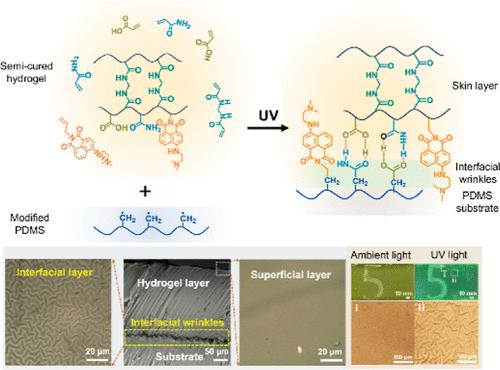 Interfacial Wrinkling Structures Based on a Double Cross-Linking Strategy Enable a Dual-Mode Optical Information Encryption.