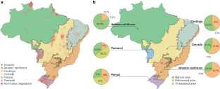 A draft bill imperils Brazilian non-forest vegetation amid climate catastrophes