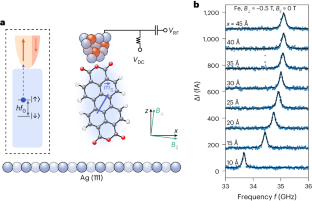 A molecular spin on a scanning probe tip enables quantum sensing at the atomic scale.