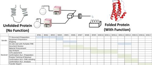 Implementing an Efficient Technology Transfer for Biomolecule Production: A Case Study on Continuous-Mode Processes
