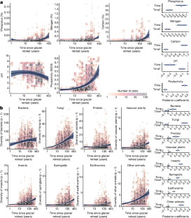 The development of terrestrial ecosystems emerging after glacier retreat