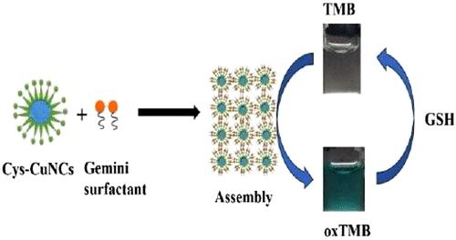 Gemini Surfactant-Induced Cysteine-Capped Copper Nanoclusters Self-Assembly with Enhanced Peroxidase-Like Activity and Colorimetric Glutathione Sensing.