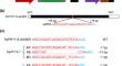 Comparative analysis of TaPHT1;9 function using CRISPR-edited mutants, ectopic transgenic plants and their wild types under soil conditions