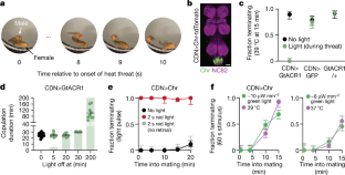 Dopamine biases decisions by limiting temporal integration