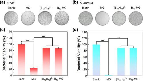 Correction to "Chaotropic Effect-Induced Self-Assembly of Malachite Green and Boron Cluster for Toxicity Regulation and Photothermal Therapy".