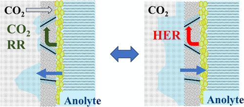Long Period Voltage Oscillations Associated with Reaction Changes between CO2 Reduction and H2 Formation in Zero-Gap-Type CO2 Electrochemical Reactor