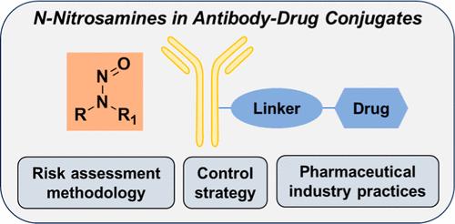 Risk Assessment and Control of N-Nitrosamines in Antibody–Drug Conjugates: Current Industry Practices